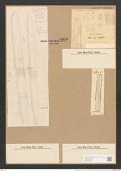 Nitzschia scalaris (Ehr.?) W. Sm. (de-Toni-Nr.: Genus 47, Species 2070) Zeichnungen Sammlung Grunow Nr. 4085 (NHMW-BOT-W0371933)